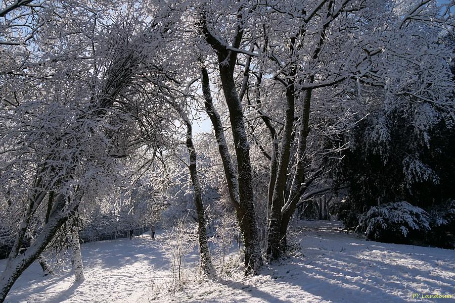 La Rochelle vu d'en haut, Neige, 6 janvier 2026