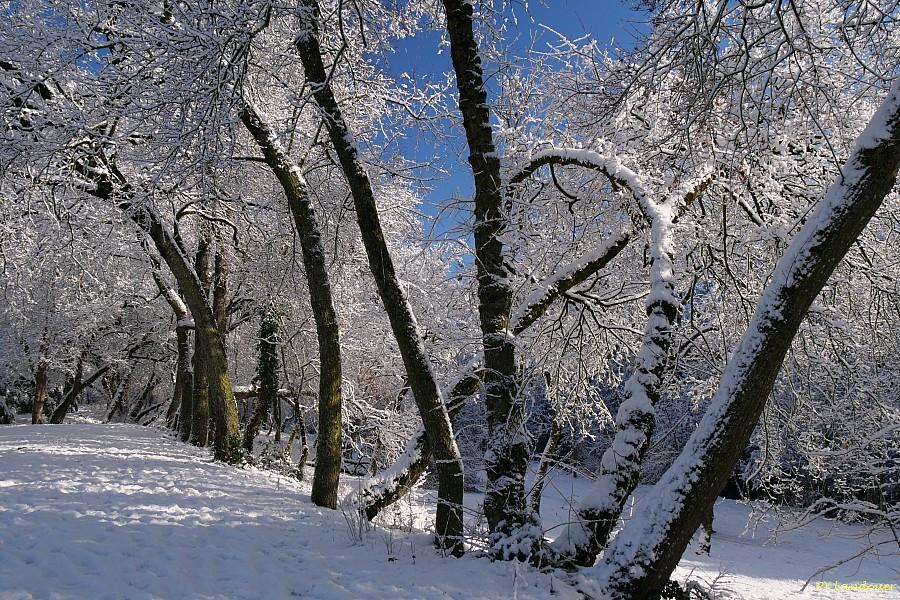 La Rochelle vu d'en haut, Neige, 6 janvier 2026