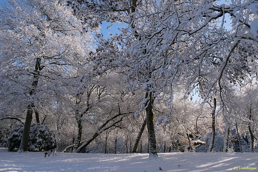 La Rochelle vu d'en haut, Neige, 6 janvier 2026
