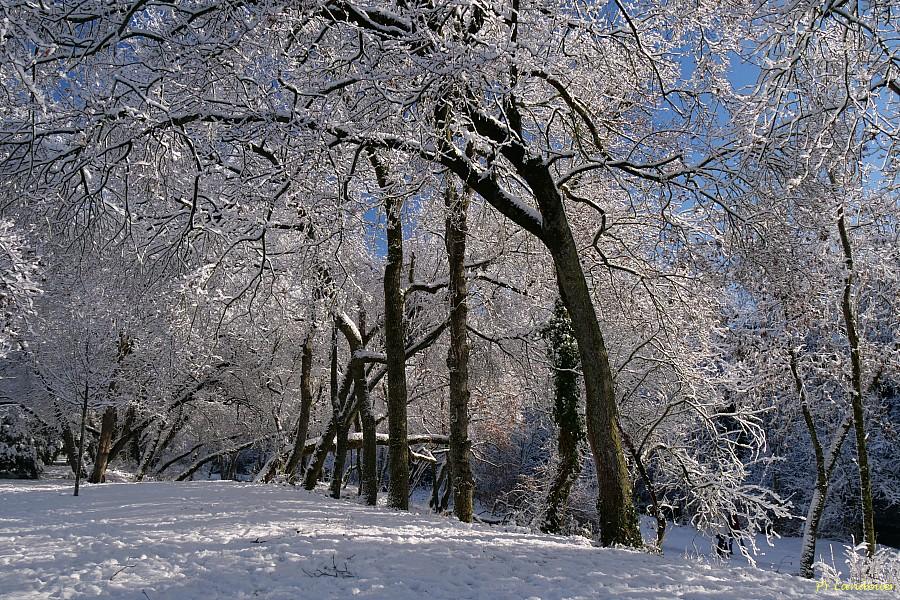 La Rochelle vu d'en haut, Neige, 6 janvier 2026