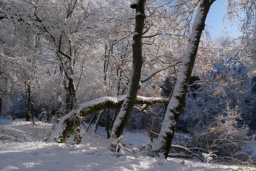 La Rochelle vu d'en haut, Neige, 6 janvier 2026